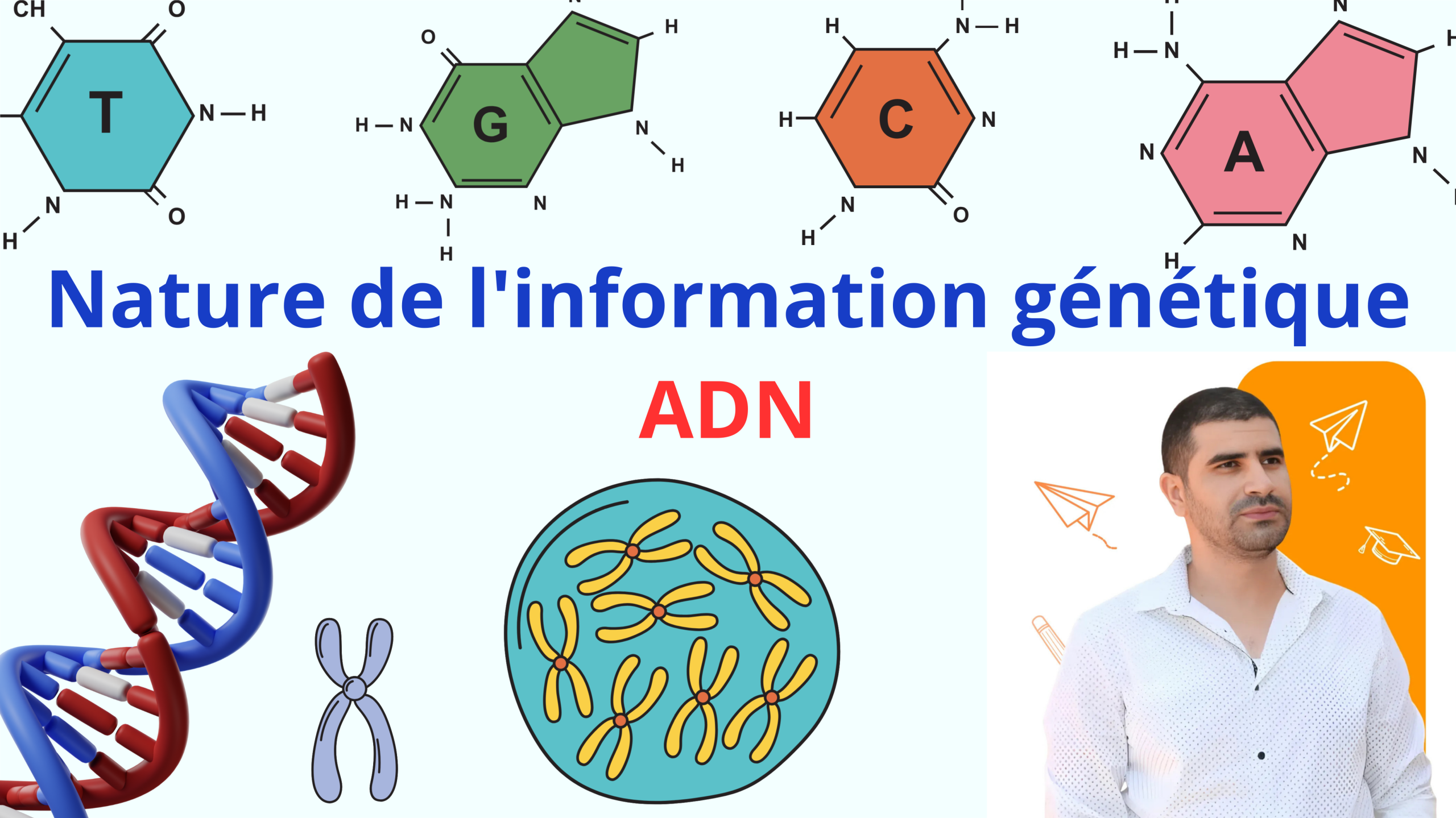 ADN – Nature de l&rsquo;information génétique